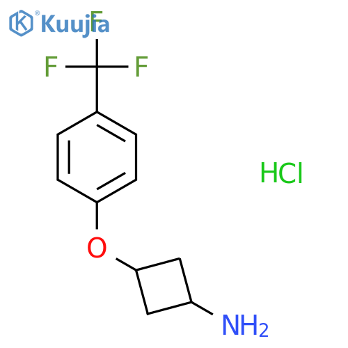 trans-3-[4-(trifluoromethyl)phenoxy]cyclobutan-1-amine hydrochloride structure