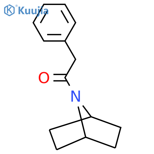 1-{7-azabicyclo[2.2.1]heptan-7-yl}-2-phenylethan-1-one structure
