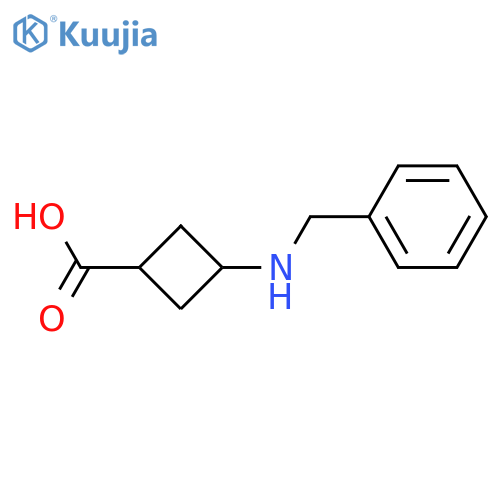 3-(benzylamino)cyclobutanecarboxylic acid structure