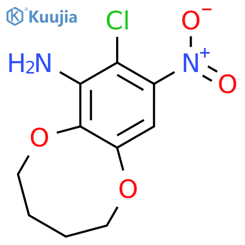 1,6-Benzodioxocin-7-amine, 8-chloro-2,3,4,5-tetrahydro-9-nitro- structure