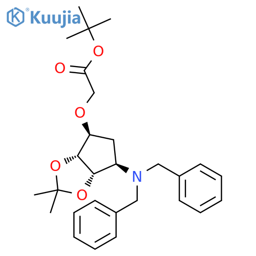 tert-butyl [[(3aR,4S,6R,6aS)-6-(N,N-dibenzylamino)-2,2-dimethyltetrahydro-3aH-cyclopenta[d][1,3]dioxol-4-yl]oxy]acetate structure
