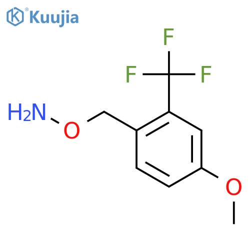 O-{4-methoxy-2-(trifluoromethyl)phenylmethyl}hydroxylamine structure