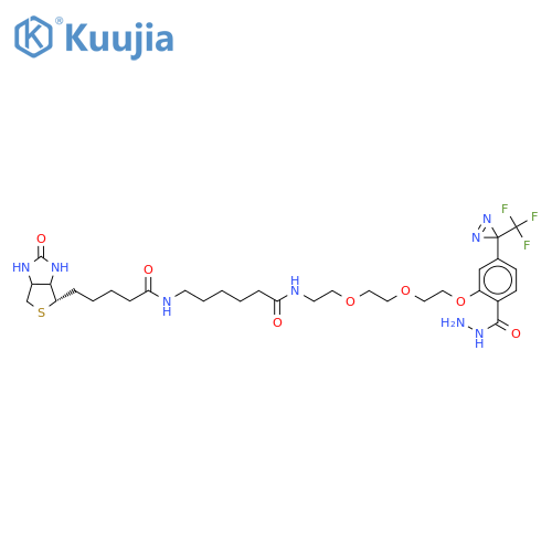 2-2-2-2-6-(Biotinylaminohexanoylaminoethoxyethoxyethoxy-4-3-(trifluoromethyl)-3H-diazirin-3-ylbenzoic Acid Hydrazide structure