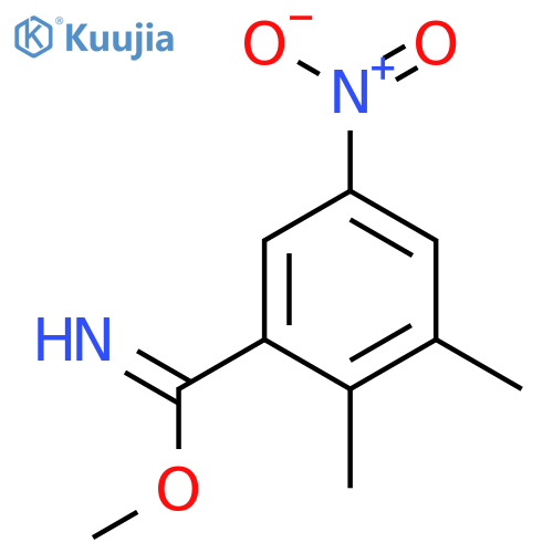 Benzenecarboximidic acid, 2,3-dimethyl-5-nitro-, methyl ester structure