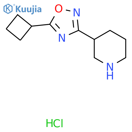 3-(5-Cyclobutyl-1,2,4-oxadiazol-3-yl)piperidine hydrochloride structure