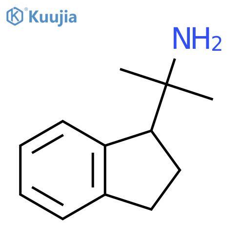 2-(2,3-dihydro-1H-inden-1-yl)propan-2-amine structure
