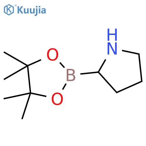 2-(tetramethyl-1,3,2-dioxaborolan-2-yl)pyrrolidine structure