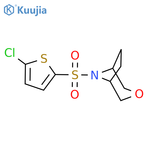 8-[(5-chlorothiophen-2-yl)sulfonyl]-3-oxa-8-azabicyclo[3.2.1]octane structure