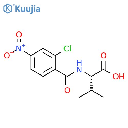 2-(2-chloro-4-nitrophenyl)formamido-3-methylbutanoic acid structure