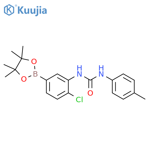 Pinacol 4-chloro-3-(p-tolylurea) phenylboronic acid structure