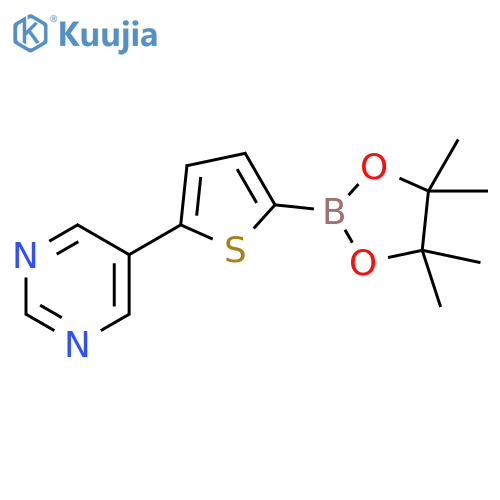 5-(5-pyrimidyl)thiophene-2-boronic acid pinacol ester structure
