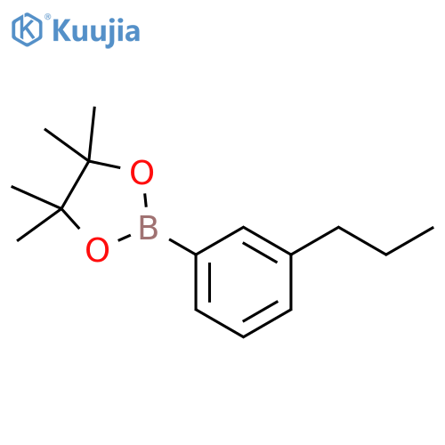 4,4,5,5-tetramethyl-2-(3-propylphenyl)-1,3,2-dioxaborolane structure