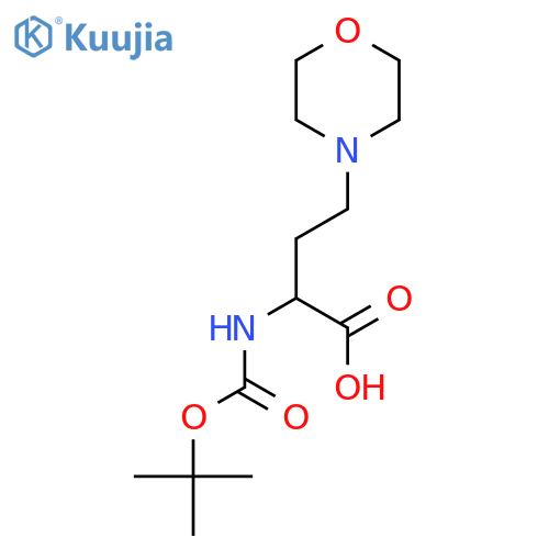 2-{(tert-butoxy)carbonylamino}-4-(morpholin-4-yl)butanoic acid structure