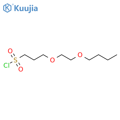 3-(2-butoxyethoxy)propane-1-sulfonyl chloride structure