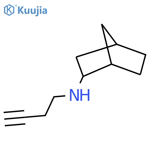 N-(but-3-yn-1-yl)bicyclo2.2.1heptan-2-amine structure