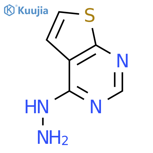 thieno[2,3-d]pyrimidin-4-ylhydrazine structure