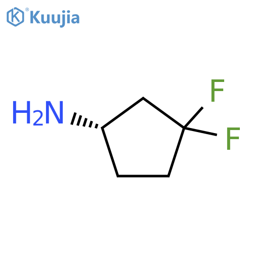 (S)-3,3-Difluoro-cyclopentylamine structure
