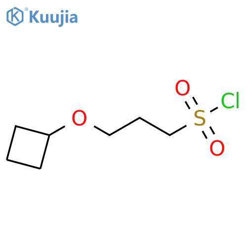 3-cyclobutoxypropane-1-sulfonyl chloride structure