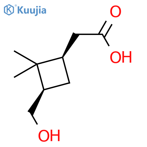 Cyclobutaneacetic acid, 3-(hydroxymethyl)-2,2-dimethyl-, cis-(±)- structure