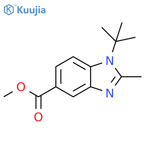 Methyl 1-tert-butyl-2-Methyl-1,3-benzodiazole-5-carboxylate structure