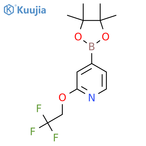 4-(4,4,5,5-Tetramethyl-1,3,2-dioxaborolan-2-yl)-2-(2,2,2-trifluoroethoxy)pyridine structure