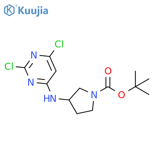 tert-Butyl 3-(2,6-dichloropyrimidin-4-ylamino)pyrrolidine-1-carboxylate structure