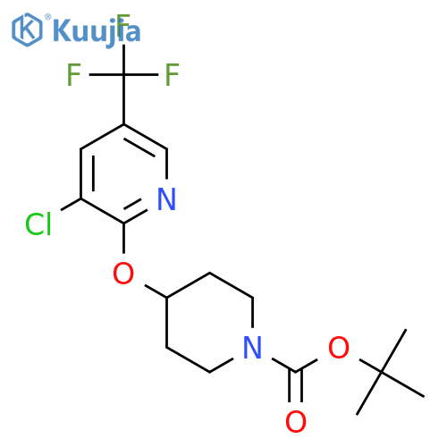 tert-Butyl 4-((3-chloro-5-(trifluoromethyl)pyridin-2-yl)oxy)piperidine-1-carboxylate structure