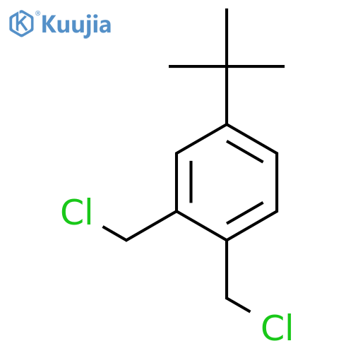 4-tert-Butyl-1,2-bis(chloromethyl)benzene structure