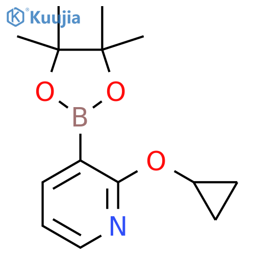 2-Cyclopropoxy-3-(4,4,5,5-tetramethyl-1,3,2-dioxaborolan-2-yl)pyridine structure