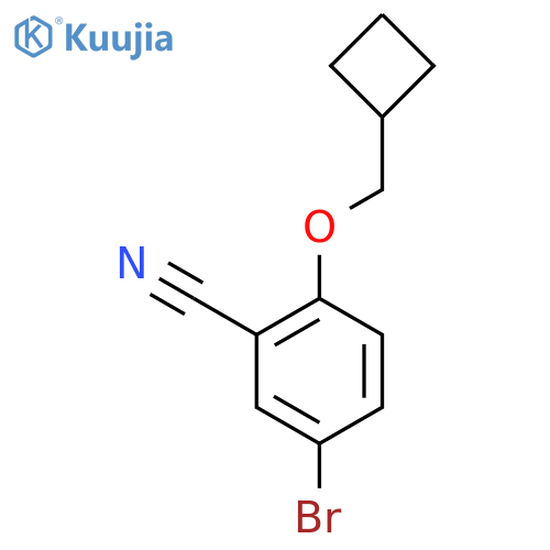 5-Bromo-2-(cyclobutylmethoxy)benzonitrile structure