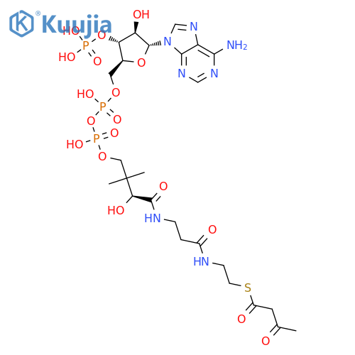 Coenzyme A, S-(3-oxobutanoate) structure