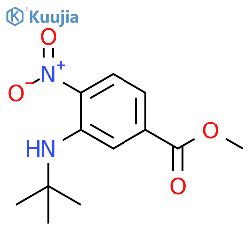 Methyl 3-(t-butylamino)-4-nitrobenzoate structure