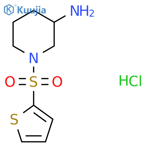1-(thiophene-2-sulfonyl)piperidin-3-amine hydrochloride structure