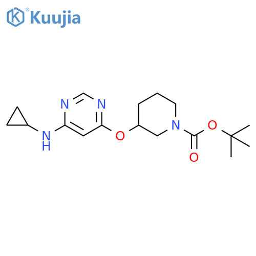 tert-butyl 3-((6-(cyclopropylamino)pyrimidin-4-yl)oxy)piperidine-1-carboxylate structure