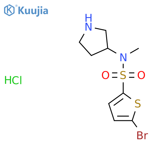 5-Bromo-N-methyl-N-(pyrrolidin-3-yl)thiophene-2-sulfonamide hydrochloride structure