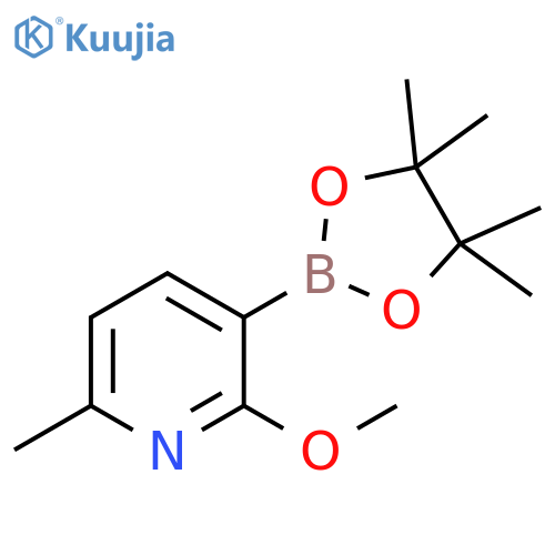 2-Methoxy-6-methyl-3-(4,4,5,5-tetramethyl-1,3,2-dioxaborolan-2-yl)pyridine structure
