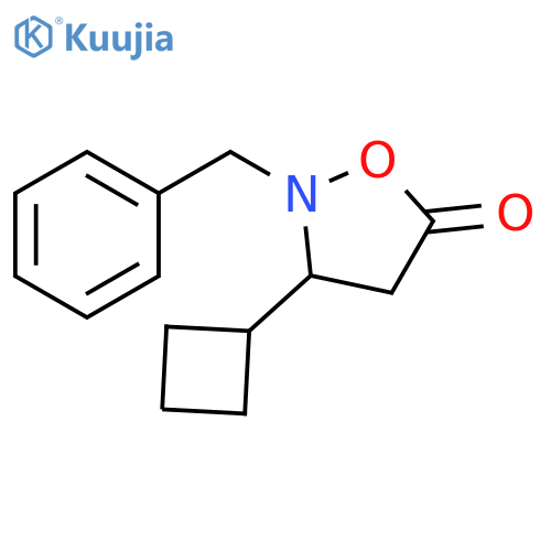 5-Isoxazolidinone, 3-cyclobutyl-2-(phenylmethyl)- structure
