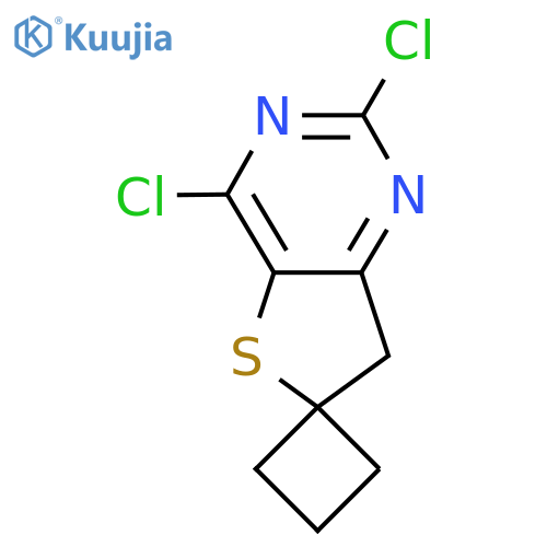 2',4'-Dichloro-7'H-spiro[cyclobutane-1,6'-thieno[3,2-d]pyrimidine] structure