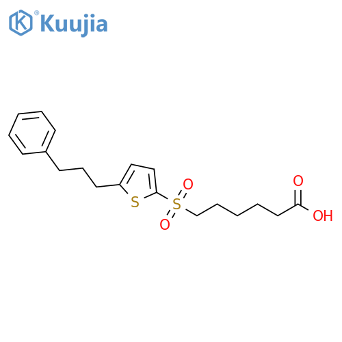 Hexanoic acid, 6-[[5-(3-phenylpropyl)-2-thienyl]sulfonyl]- structure