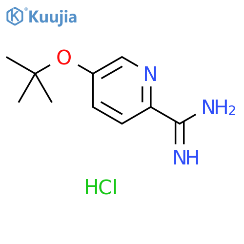 5-(tert-butoxy)pyridine-2-carboximidamide hydrochloride structure