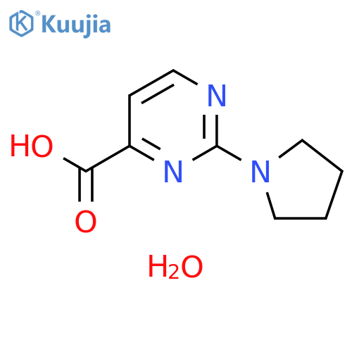 2-(pyrrolidin-1-yl)pyrimidine-4-carboxylic acid hydrate structure