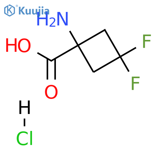 1-amino-3,3-difluorocyclobutane-1-carboxylic acid hydrochloride structure