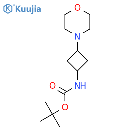 Carbamic acid, N-[3-(4-morpholinyl)cyclobutyl]-, 1,1-dimethylethyl ester structure