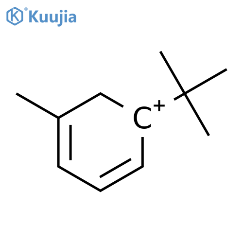 Cyclohexadienylium, 1-(1,1-dimethylethyl)-5-methyl- structure