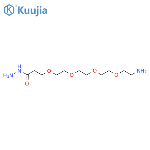 H2N-PEG4-Hydrazide structure