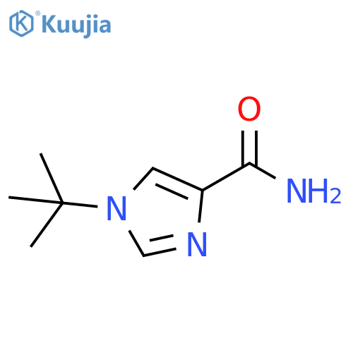 1-tert-Butyl-1H-imidazole-4-carboxylic acid amide structure