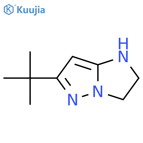 6-tert-butyl-1H,2H,3H-pyrazolo1,5-aimidazole structure