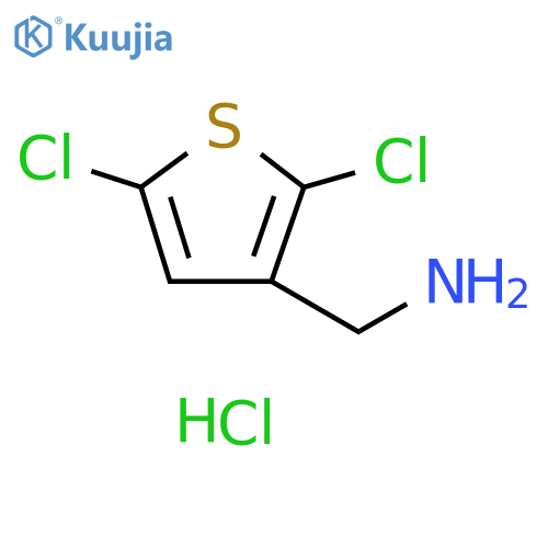 (2,5-dichlorothiophen-3-yl)methanamine hydrochloride structure