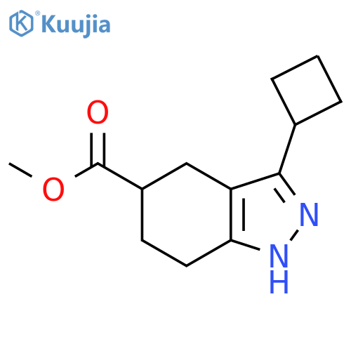 Methyl 3-cyclobutyl-4,5,6,7-tetrahydro-1H-indazole-5-carboxylate structure