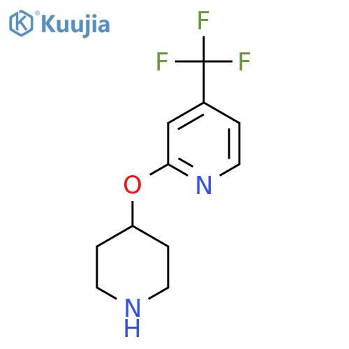 2-(Piperidin-4-yloxy)-4-(trifluoromethyl)pyridine structure
